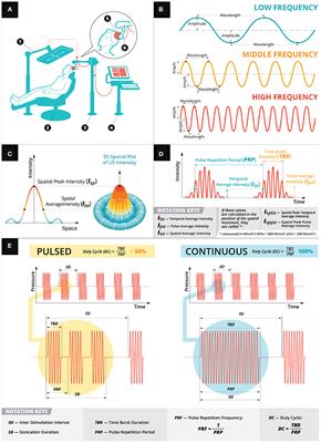 Current State of Potential Mechanisms Supporting Low Intensity Focused Ultrasound for Neuromodulation